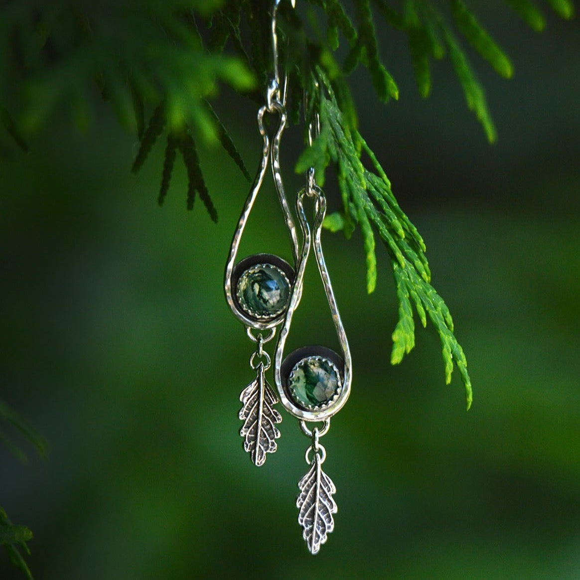 Old-Growth Earrings