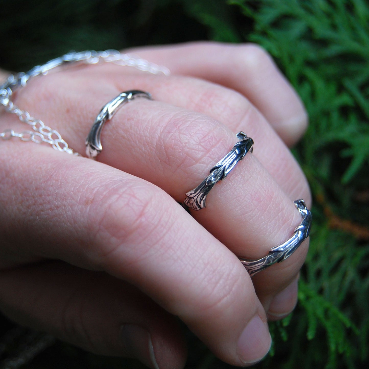 Cedar Ring