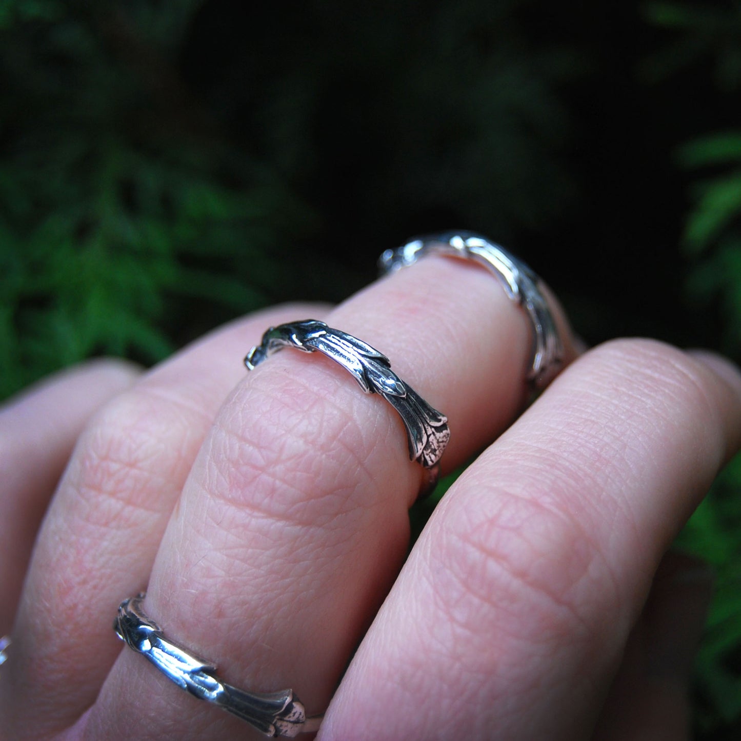 Cedar Ring