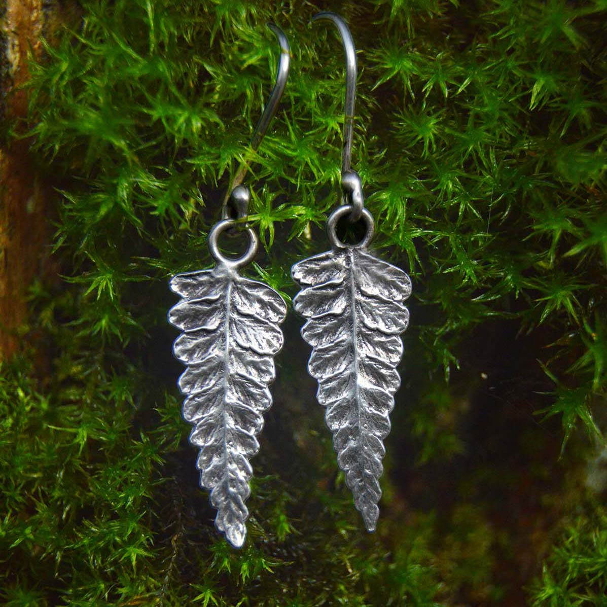 Fern Bundle